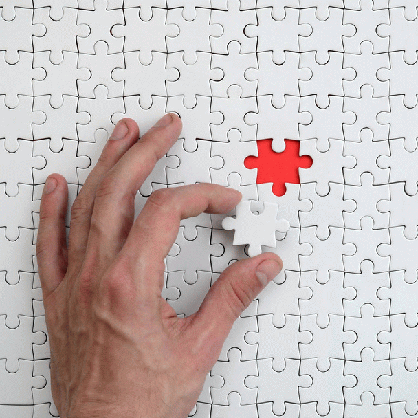 18 نکته در تربیت سگ مالینویز بلژیکی برای نگهبانی و گارد